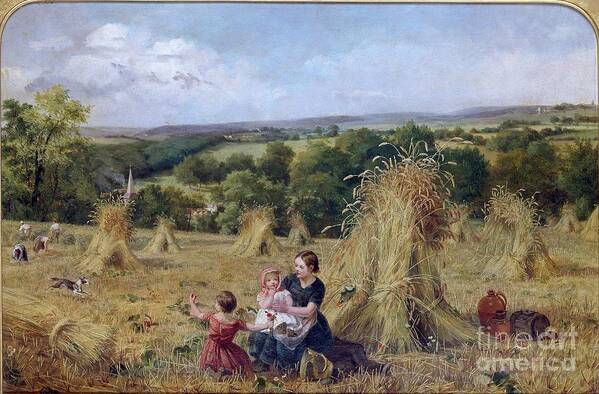 Oil Painting Art Print featuring the drawing The Harvest Field by Heritage Images