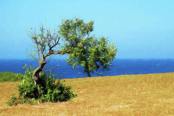 Trees Art Print featuring the photograph The olive tree by Gaye Bentham