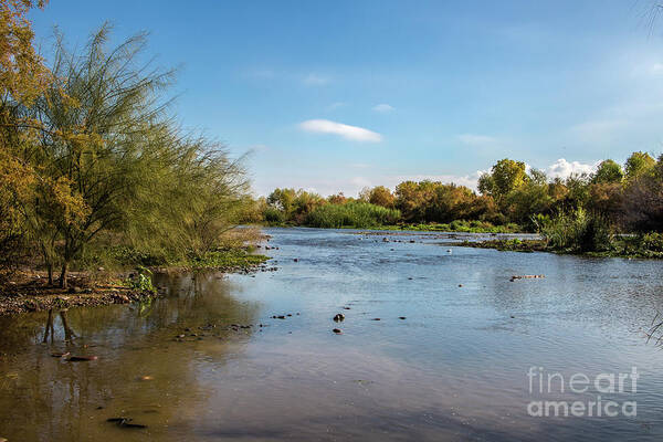 Arizona Art Print featuring the photograph The Salt at Three Rivers by Kathy McClure