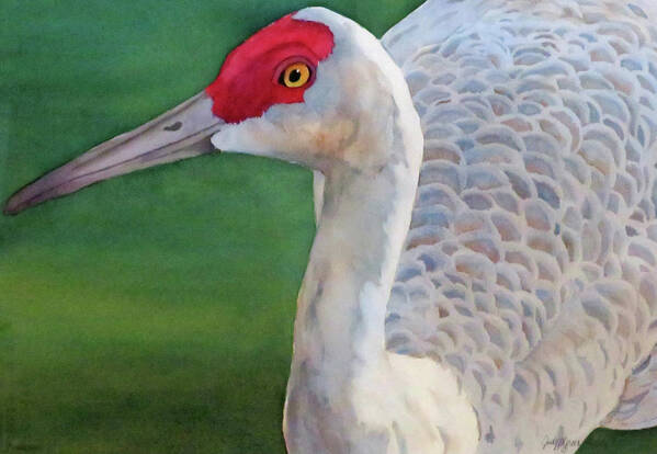 Sandhill Crane Art Print featuring the painting The Sentinel by Judy Mercer