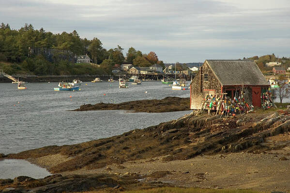 Maine Art Print featuring the photograph Tide's Out by Mark Duehmig