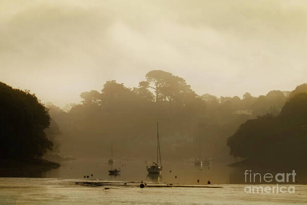 Mylor Art Print featuring the photograph Timeless by Terri Waters