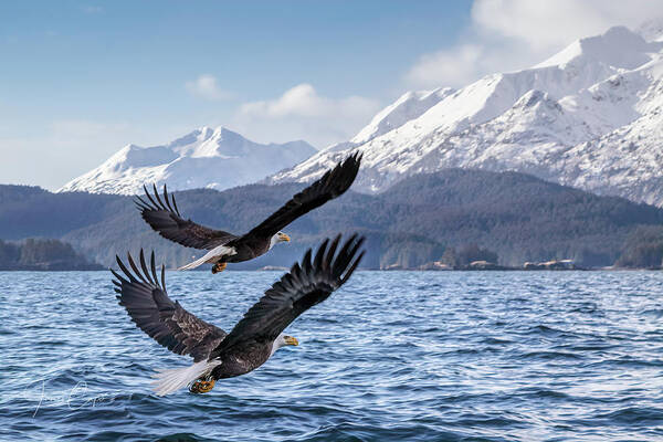 Alaska Art Print featuring the photograph To the Hills... #2 by James Capo