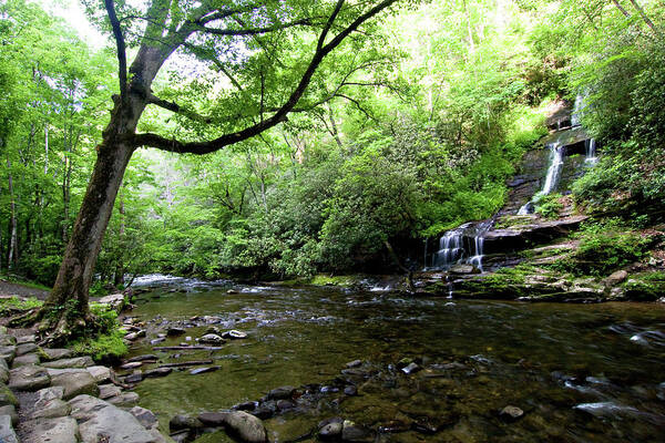 Waterfalls Art Print featuring the photograph Tom Branch Falls on Deep Creek by Bob Decker