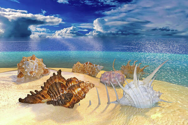 Shell Art Print featuring the digital art Topsail Ocean Shells by Betsy Knapp