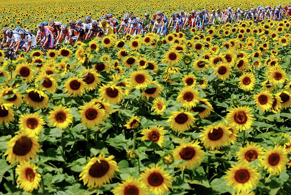 Vatan Art Print featuring the photograph Tour De France 2009 Stage Eleven by Jasper Juinen