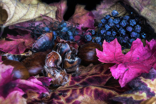 Fall Colors Art Print featuring the photograph Transition in fall by Wolfgang Stocker