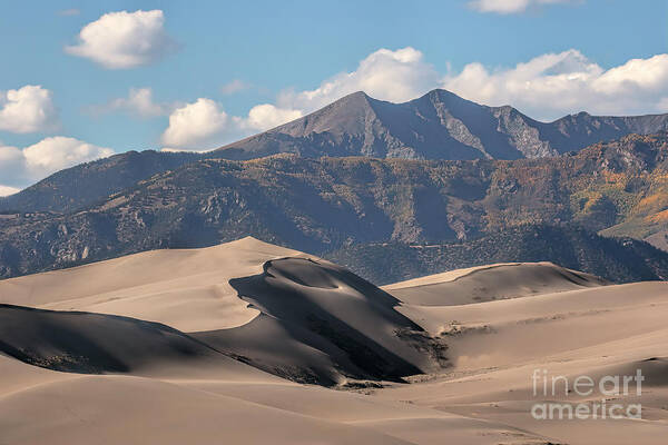 Dunes Art Print featuring the photograph Transitions by Jim Garrison