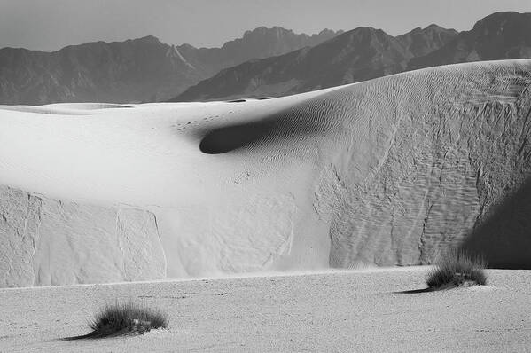 Richard E. Porter Art Print featuring the photograph Transitions - White Sands National Monument, New Mexico by Richard Porter