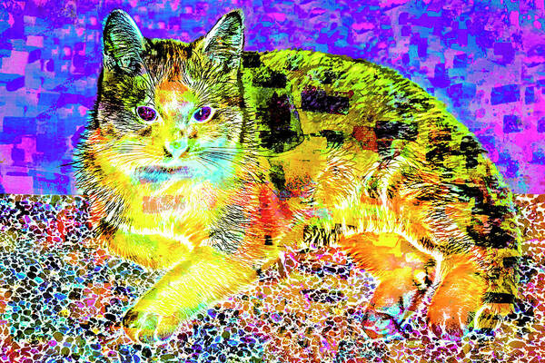 Transparent Kitten Pattern 12 Art Print featuring the photograph Transparent Kitten Pattern 12 by Anita Vincze