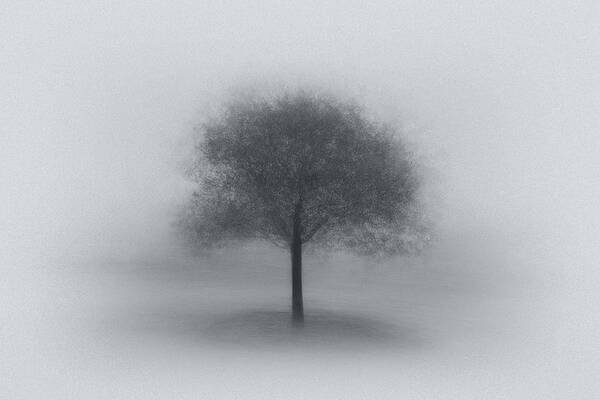 Fog Art Print featuring the photograph Tree In Fog by Aidong Ning