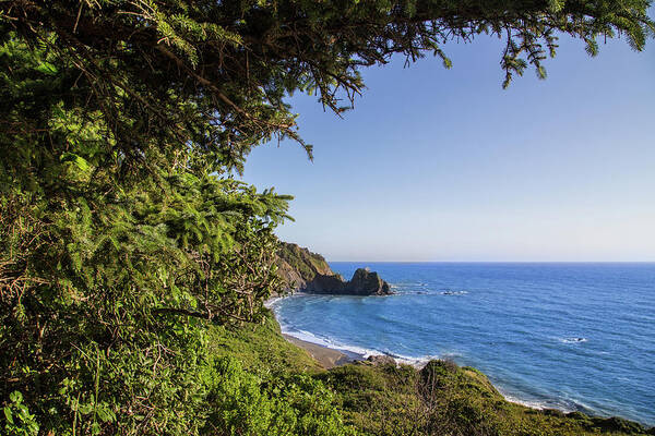 Nickel Creek Campground Art Print featuring the photograph Trees and ocean by Kunal Mehra