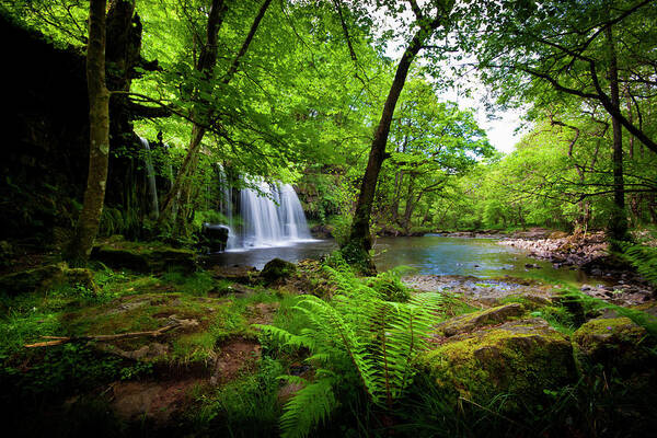 Tropical Rainforest Art Print featuring the photograph Tropical Waterfall by Clive Rees Photography