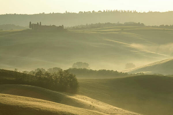 Scenics Art Print featuring the photograph Tuscany 2008 by Ingmar Wesemann