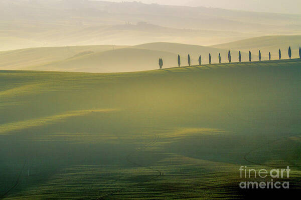 Landscape Art Print featuring the photograph Tuscany Landscape with Cypress Trees by Heiko Koehrer-Wagner