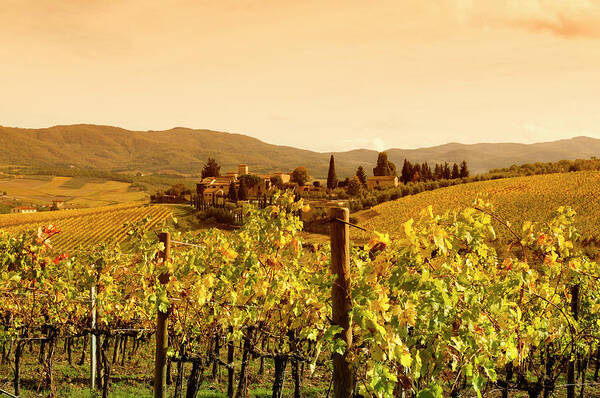 Scenics Art Print featuring the photograph Tuscany Village And Vineyard In Fall At by Lisa-blue