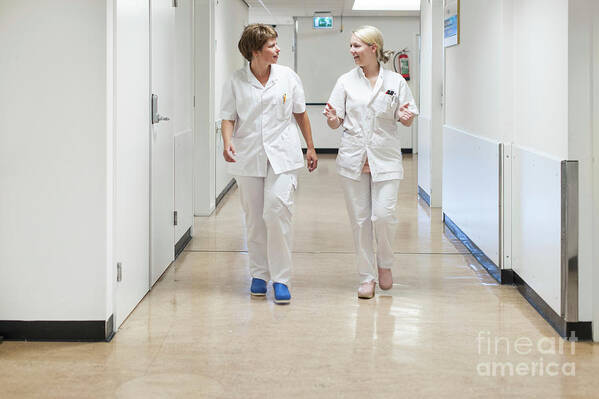 Adults Art Print featuring the photograph Two Nurses Walking Down The Corridor Of A Nursing Ward by Arno Massee/science Photo Library