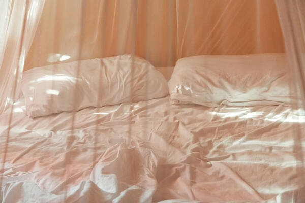 Empty Art Print featuring the photograph Two Pillows And Empty Bed With Netting by Sasha Weleber