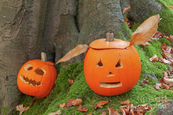 Pumpkin Art Print featuring the photograph Two scary pumpkins for halloween by Simon Bratt