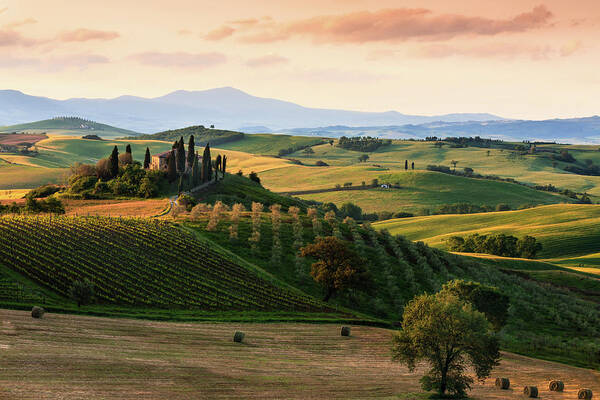 Scenics Art Print featuring the photograph Typical Landscape In The Tuscany by Manu10319