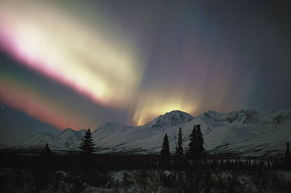 Scenics Art Print featuring the photograph Usa, Alaska, Denali National Park by Johnny Johnson