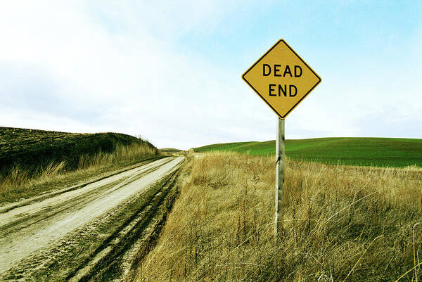 Outdoors Art Print featuring the photograph Usa, Washington, Palouse, Dead End by Mel Curtis