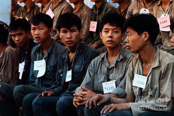 Vietnam War Art Print featuring the photograph Viet Cong Prisoners Sitting In Line by Bettmann