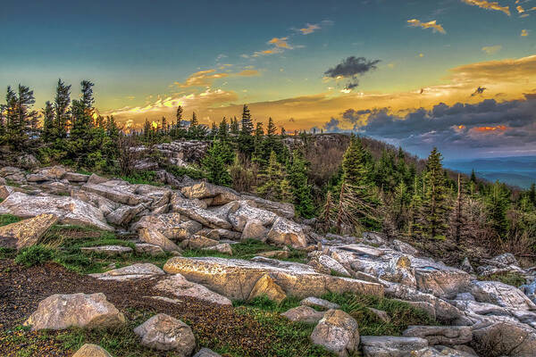 Landscapes Art Print featuring the photograph View from Dolly Sods 4714 by Donald Brown