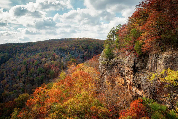Whitaker Point Art Print featuring the photograph View From The Hawksbill by James Barber