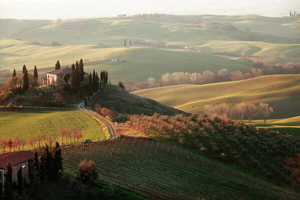 Scenics Art Print featuring the photograph Villa In Tuscany by Dmitry Pisanko