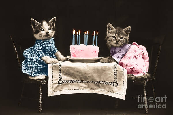 Birthday Art Print featuring the photograph Vintage kittens birthday by Delphimages Photo Creations