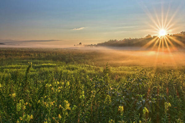 Sunrise Art Print featuring the photograph Wallkill River Wildlife Refuge Sunrise by Angelo Marcialis