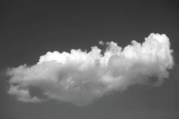 Large Cloud Art Print featuring the photograph Wandering Cloud by Prakash Ghai