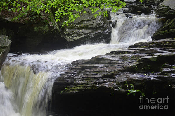 Green Art Print featuring the photograph Waterfall at Ricketts Glen by Aicy Karbstein