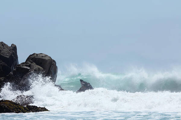 Water's Edge Art Print featuring the photograph Wave Smashing Aginst Black Rocks In by Arturbo