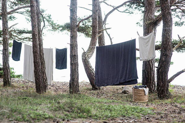 Ip_13206252 Art Print featuring the photograph White And Blue Laundry Hung On Washing Line Strung Between Trees by Magdalena Bjrnsdotter