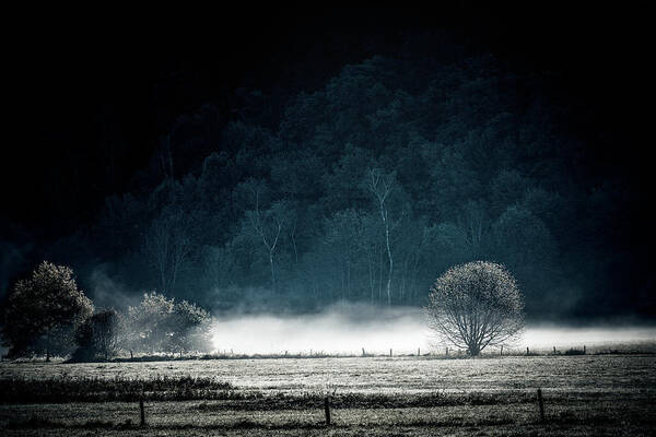 Landscape Art Print featuring the photograph White Mist by Philippe Sainte-Laudy