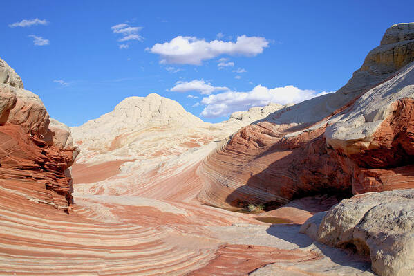 Desert Art Print featuring the photograph White Pocket by Ivan Franklin