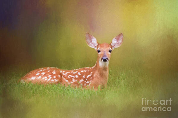 Deer Art Print featuring the digital art White Tailed Deer Fawn by Sharon McConnell
