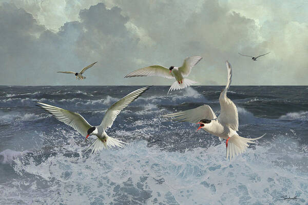 Birds Art Print featuring the digital art Whitecaps and Terns by M Spadecaller