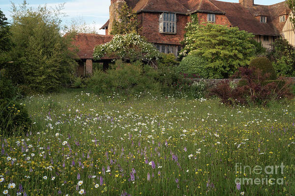 Wildflower Art Print featuring the photograph Wildflower Meadow, Great Dixter by Perry Rodriguez