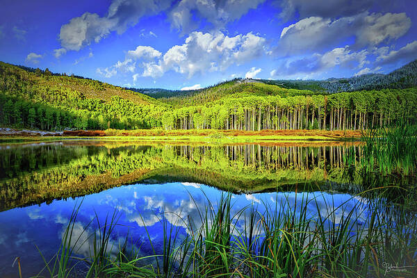 Lake Art Print featuring the photograph Willow Heights Reflection by James Zebrack