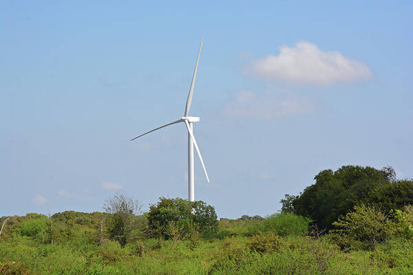 Windmill Art Print featuring the photograph Wind Farming by Jimmie Bartlett