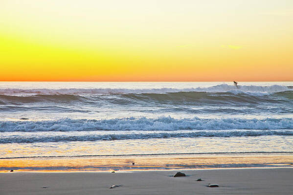 California Beach Art Print featuring the photograph Wind n Sea Sunset Surfer by Catherine Walters