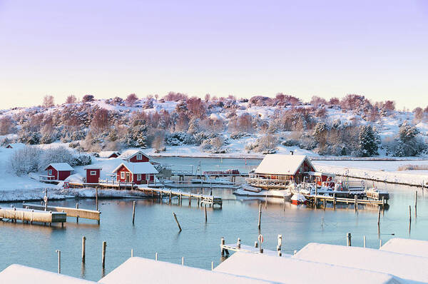 Water's Edge Art Print featuring the photograph Winter Coastal Cottages by Martin Wahlborg