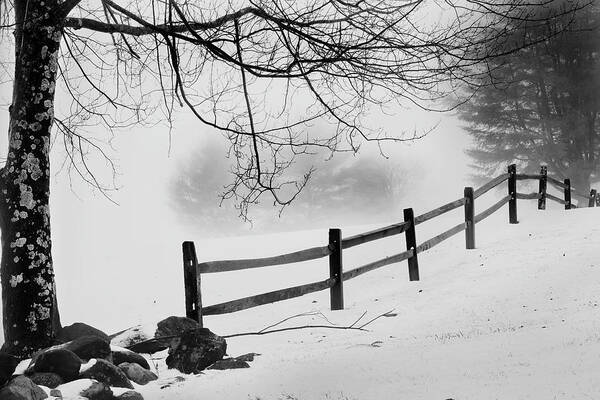 Black And White Winter Art Print featuring the photograph Winter Fence by Bill Wakeley