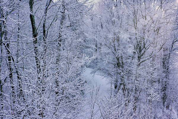 Winter Art Print featuring the photograph Winter Ice Storm by Meta Gatschenberger