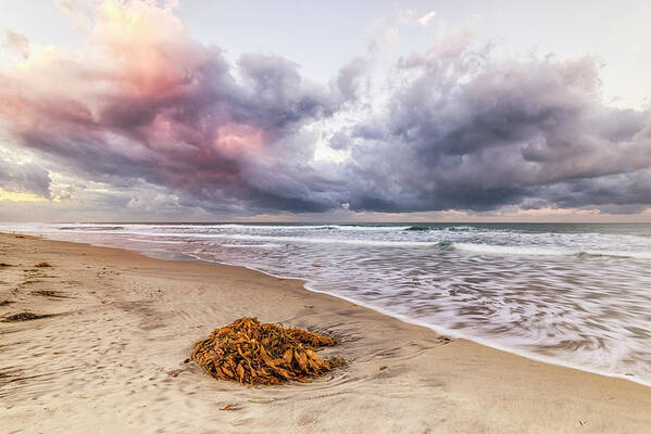 Beach Art Print featuring the photograph Nature's Show At Ponto Beach by Joseph S Giacalone