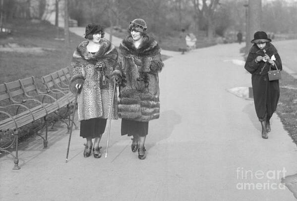 People Art Print featuring the photograph Women Carrying Canes In New York by Bettmann
