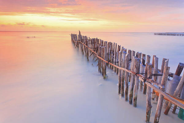 Scenics Art Print featuring the photograph Wooden Posts Into Sea by Enzo Figueres